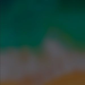 Meet your Posher, Jack